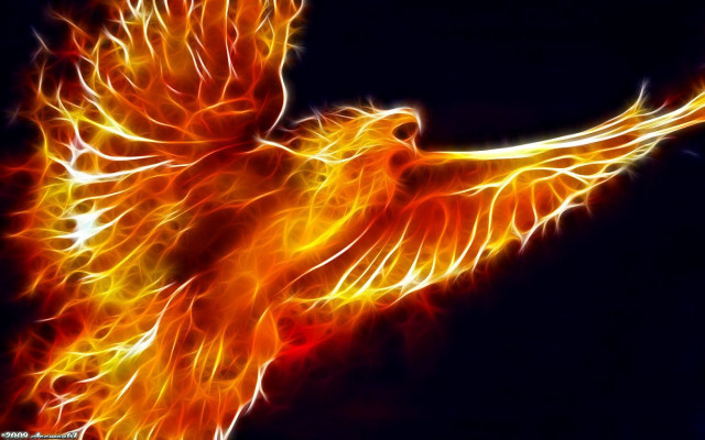 Bird fire wings flying air free wallpaper for desktop - medium preview image