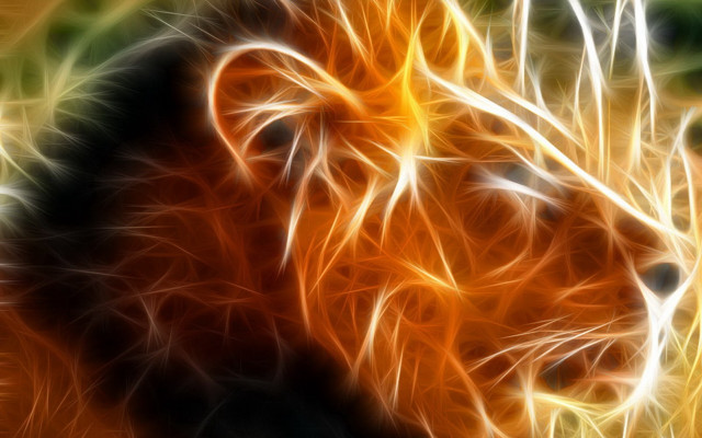 Lion digital painting blurry orange free wallpaper for desktop - medium preview image