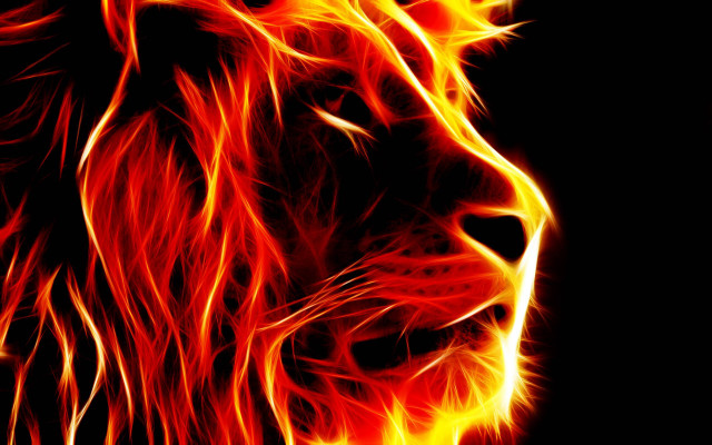 Lion flames dark bright red free wallpaper for desktop - medium preview image