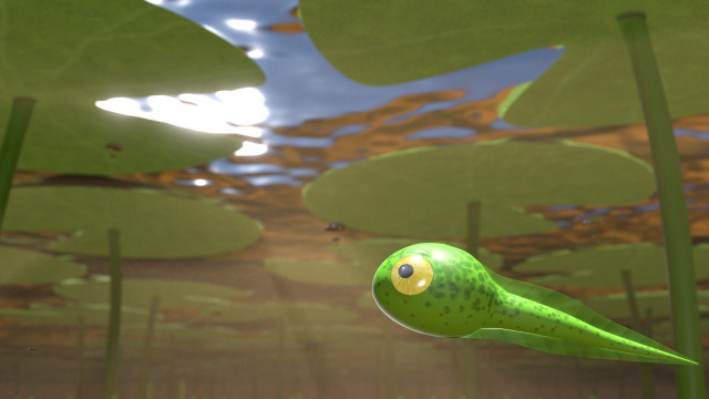 Green bird flying pond water free wallpaper for desktop - medium preview image