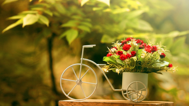 Small bicycle flower pot table free wallpaper for desktop - medium preview image
