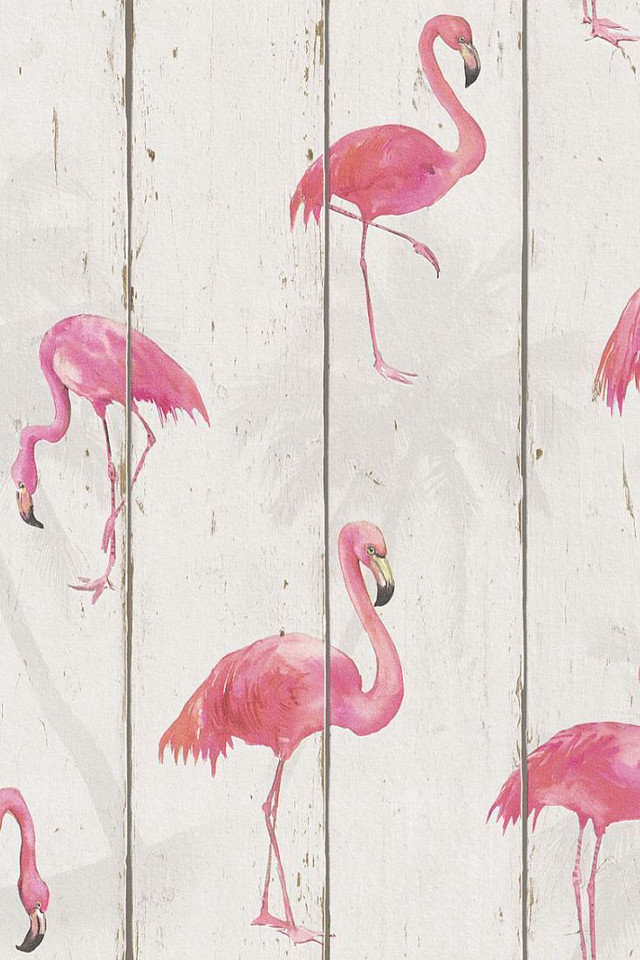 Pink flamingos wooden fence group free wallpaper for mobile - medium preview image