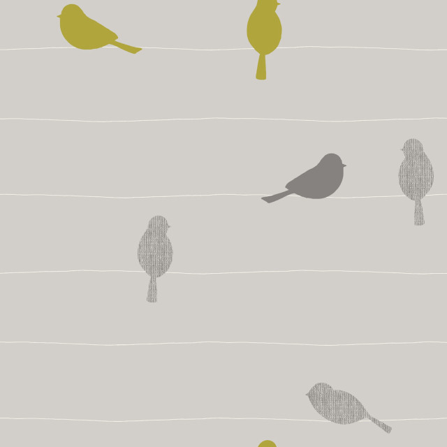 Birds tree branch field grass free wallpaper for tablet - medium preview image