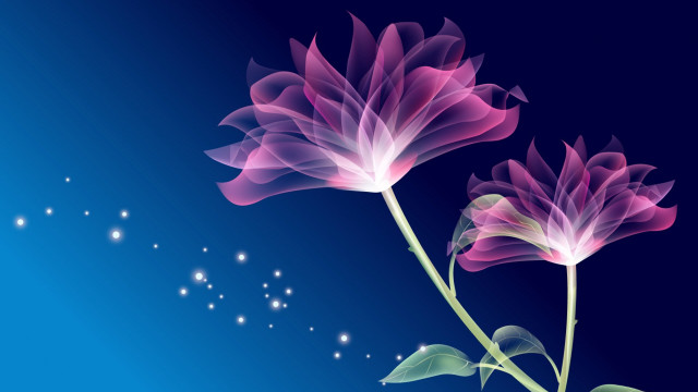 Flowers blue background stars sky #2 free wallpaper for desktop - medium preview image