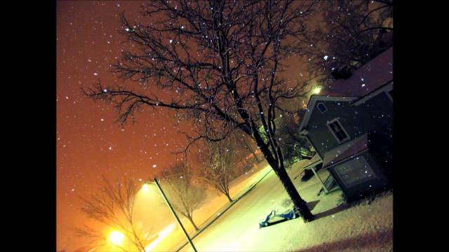 Tree snow night streetlight house free wallpaper for desktop - medium preview image