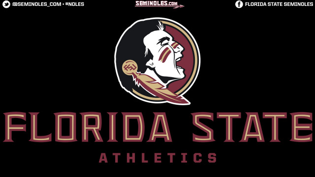 Florida state logo football helmet free wallpaper for desktop - medium preview image