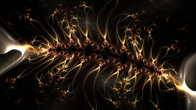 Yellow brown flower black background free wallpaper for desktop - medium preview image