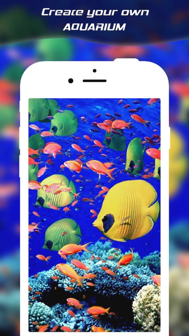 Phone fish picture create your free wallpaper for mobile - medium preview image