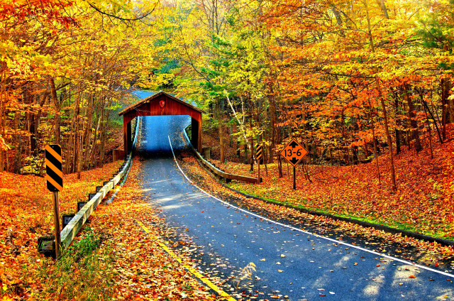 Covered bridge forest fall foliage free wallpaper for desktop - medium preview image