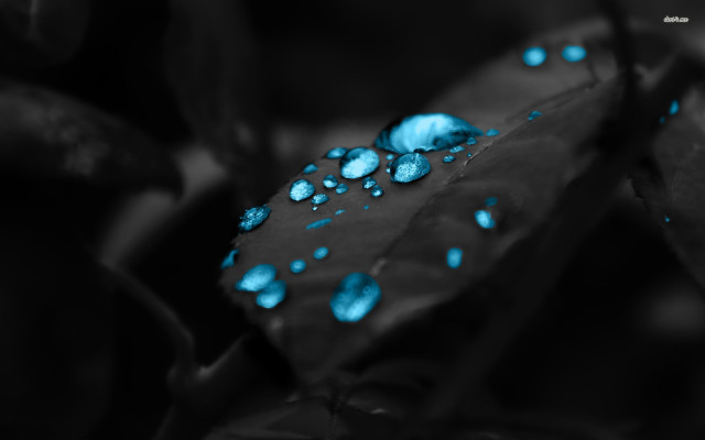Leaf blue lights background water free wallpaper for desktop - medium preview image
