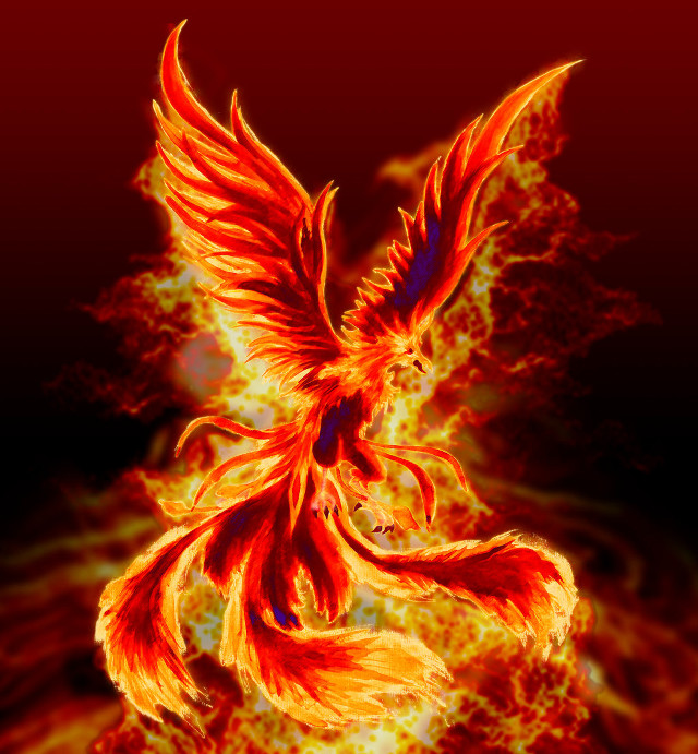 Fire bird flames wings autumn free wallpaper for tablet - medium preview image