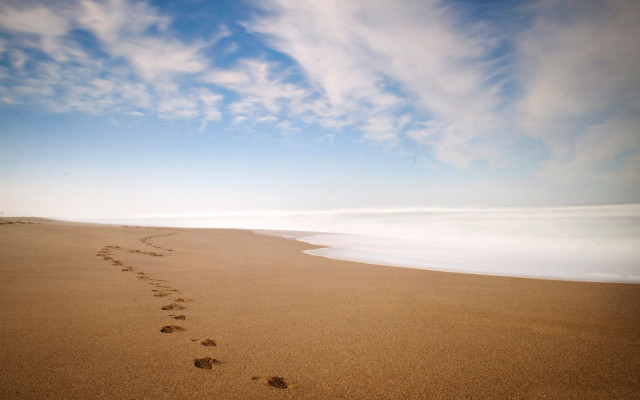 Beach footprints blue sky ocean free wallpaper for desktop - medium preview image