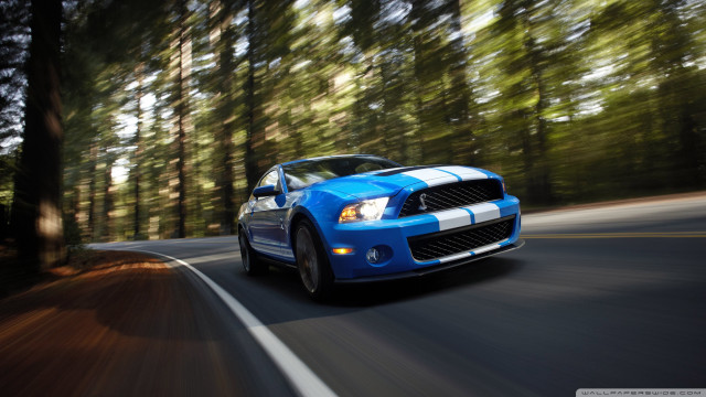 Blue car driving road forest #7 free wallpaper for desktop - medium preview image