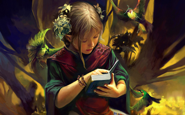 Girl reading book birds flying free wallpaper for desktop - medium preview image