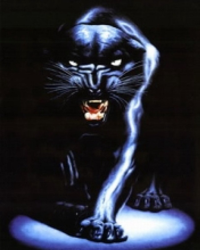 Black cat glowing eyes claws free wallpaper for mobile - medium preview image