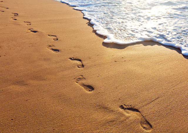 Beach footprints people sand ocean free wallpaper for desktop - medium preview image