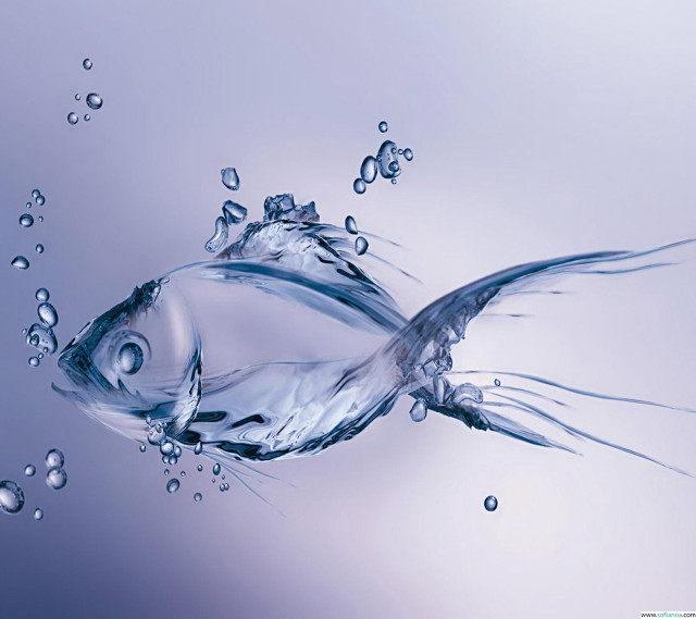 Fish swimming blue water bubbles #3 free wallpaper for tablet - medium preview image