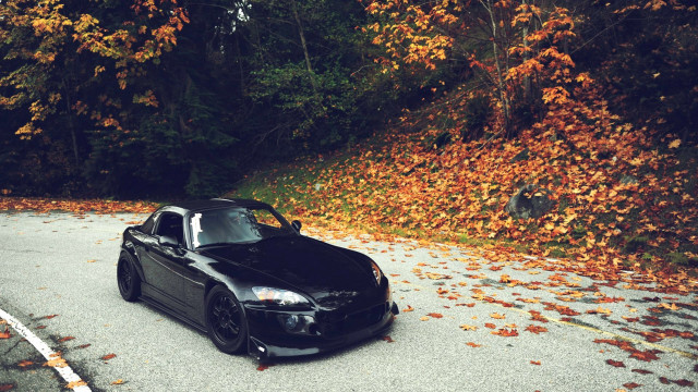 Black sports car fall leaves free wallpaper for desktop - medium preview image