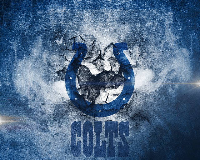 Blue white background cow colts free wallpaper for desktop - medium preview image