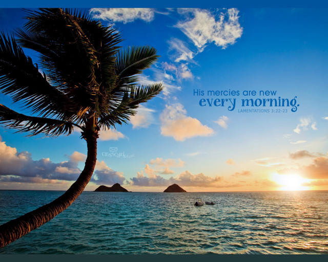 Palm tree quote ocean boat free wallpaper for desktop - medium preview image