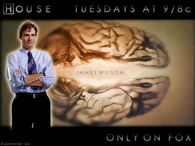 Man standing brain picture arms free wallpaper for desktop - medium preview image