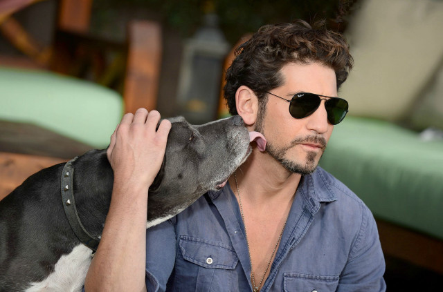 Man sunglasses dog tongue beard free wallpaper for desktop - medium preview image