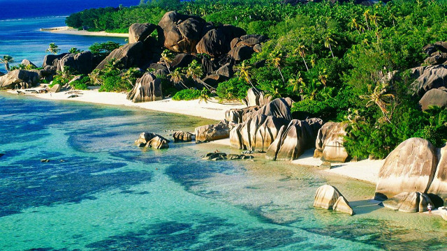 Beach rocks trees water blue free wallpaper for desktop - medium preview image