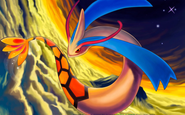 Dragon blue tail orange tail free wallpaper for desktop - medium preview image