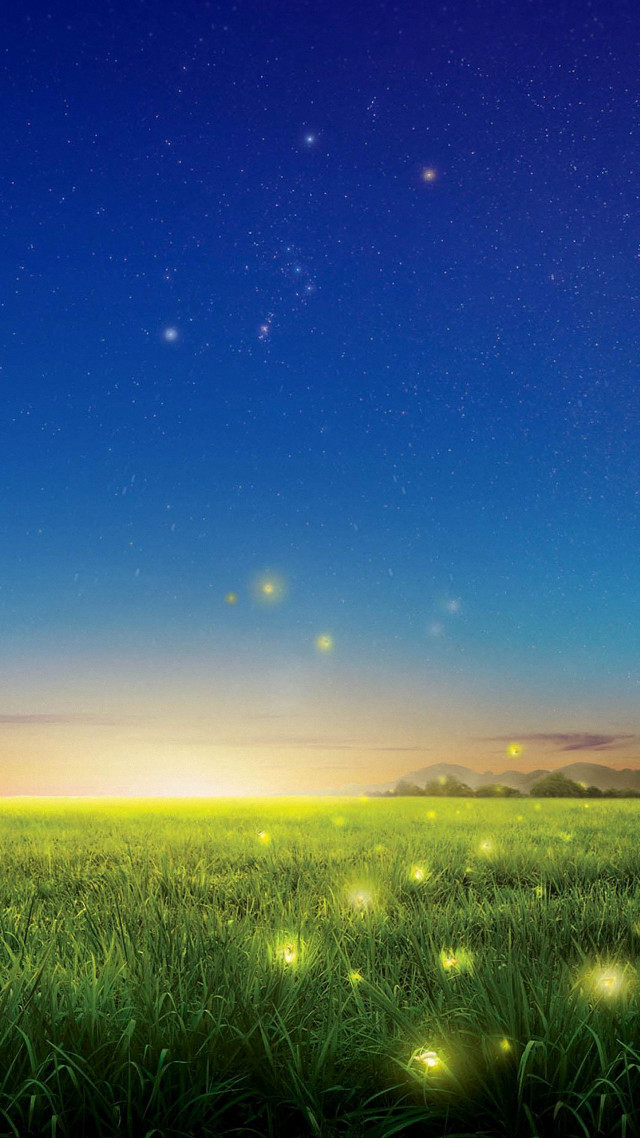 Field grass fireflies night sky #2 free wallpaper for mobile - medium preview image