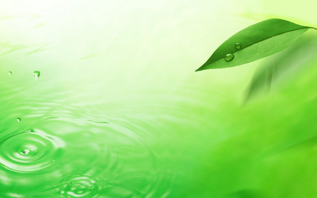 Green leaf floating water drop free wallpaper for desktop - medium preview image