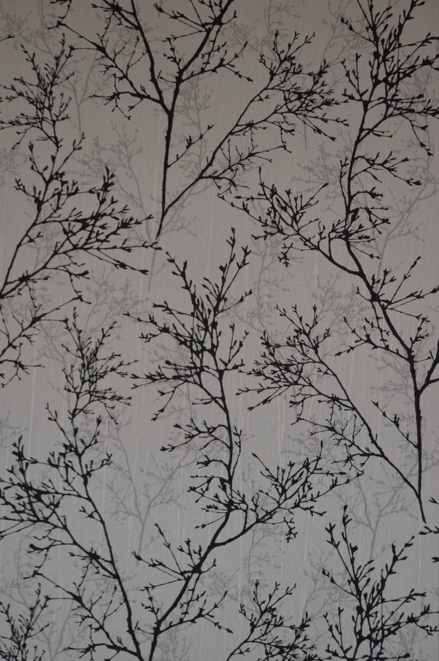 Tree branch no leaves wallpaper free wallpaper for mobile - medium preview image