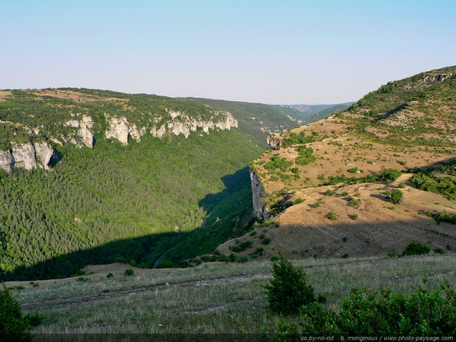Valley mountain foreground trees bushes free wallpaper for desktop - medium preview image