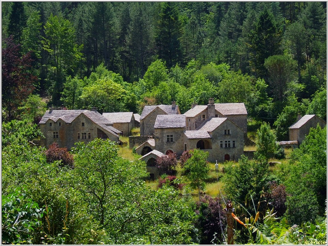 Large house trees woods windows free wallpaper for desktop - medium preview image