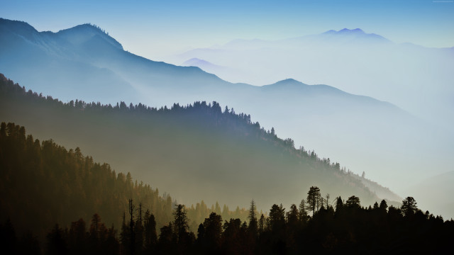Mountain range trees fog blue #2 free wallpaper for desktop - medium preview image