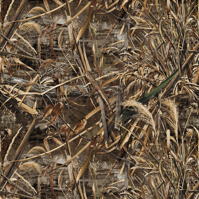 Bird branch deadgrass brickwall photorealism free wallpaper for tablet - medium preview image