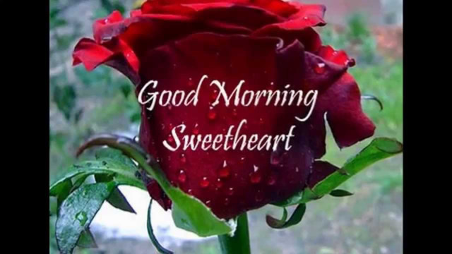 Red rose good morning sweetheart free wallpaper for desktop - medium preview image