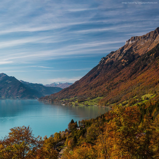 Lake mountains trees blue sky #24 free wallpaper for tablet - medium preview image