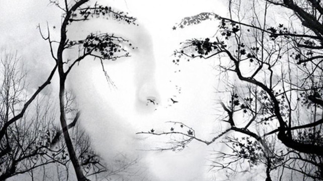 Woman face trees branches snow free wallpaper for desktop - medium preview image