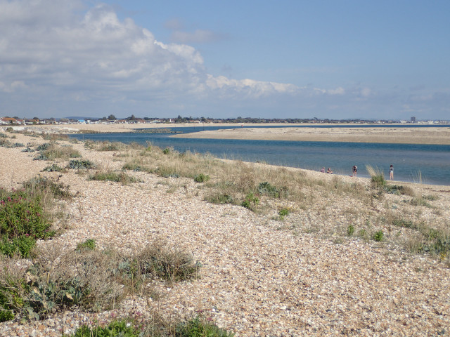 Beach water people walking bushes free wallpaper for desktop - medium preview image