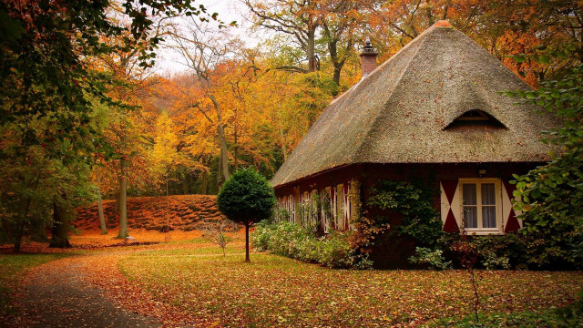Small house woods autumn leaves #2 free wallpaper for desktop - medium preview image