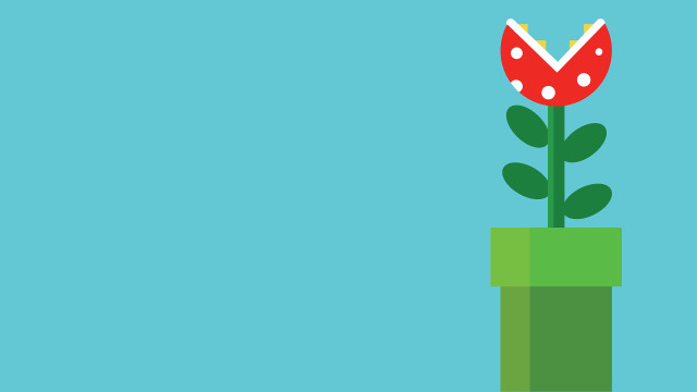 Flower pot blue background red free wallpaper for desktop - medium preview image