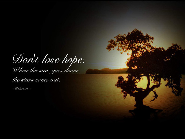 Tree dont lose hope quote free wallpaper for desktop - medium preview image