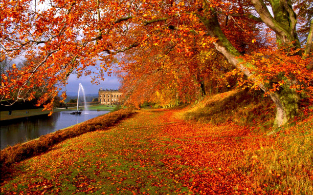 Autumn lake trees leaves ground free wallpaper for desktop - medium preview image