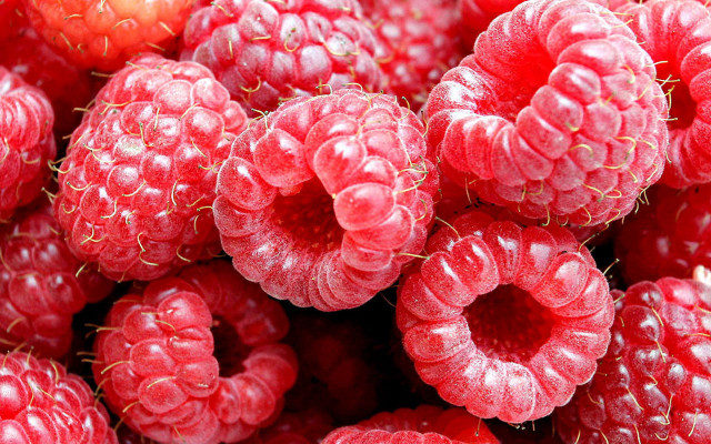 Raspberries closeup waterdrops red background free wallpaper for desktop - medium preview image