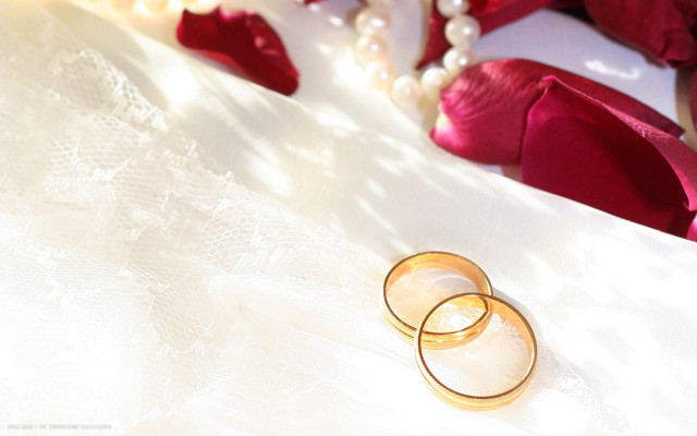 Wedding rings white cloth red free wallpaper for desktop - medium preview image