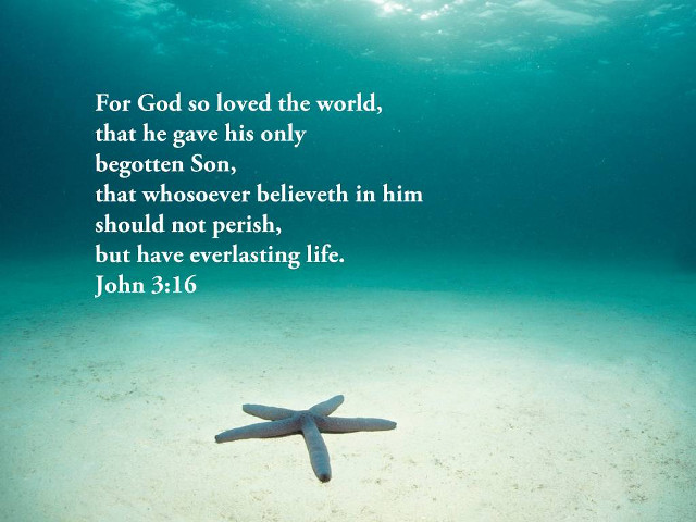 Starfish bible verse sandy ocean free wallpaper for desktop - medium preview image