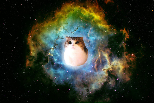 Cat colorful space stars bright free wallpaper for desktop - medium preview image