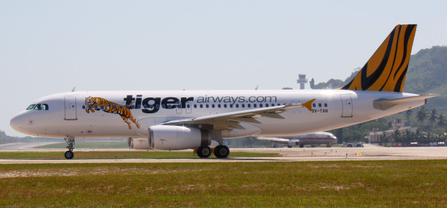 Tiger airplane runway front view free wallpaper for desktop - medium preview image