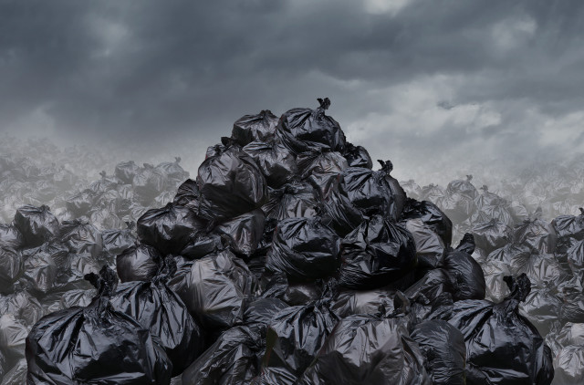 Black trash bags field bird free wallpaper for desktop - medium preview image