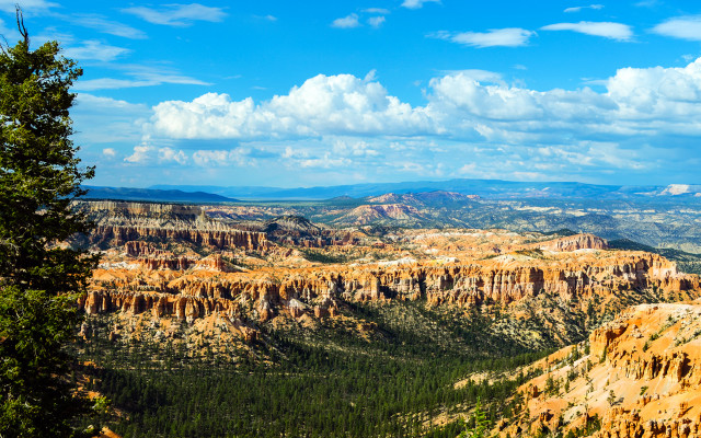 Mountain range clouds forest sky free wallpaper for desktop - medium preview image